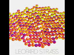 Rainbow Red : Classico