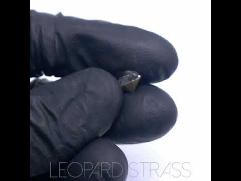 Chaton - Crystal